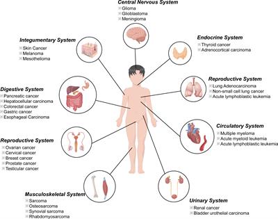 Frontiers of ferroptosis research: An analysis from the top 100 most influential articles in the field